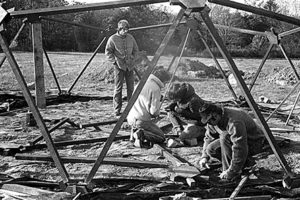 geodesic home in early stages